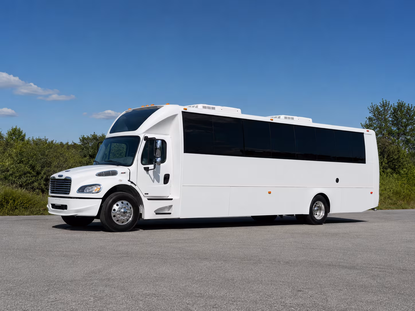 bellevue birthday party bus rental